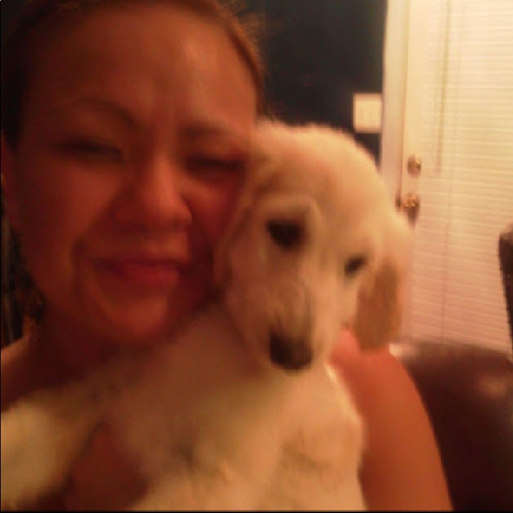 Meet your Posher, Pegasus